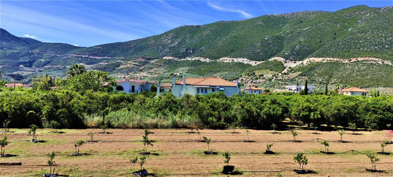 Epidaurus Fani'S Apartments 1 מראה חיצוני תמונה